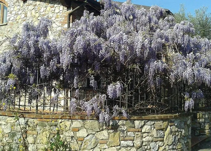 Pietra E Glicine 4* Pieve a Nievole
