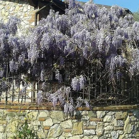 Pietra E Glicine 2* Pieve a Nievole