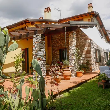 Pietra E Glicine