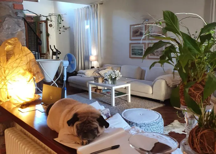 Pietra E Glicine Bed & Breakfast Pieve a Nievole